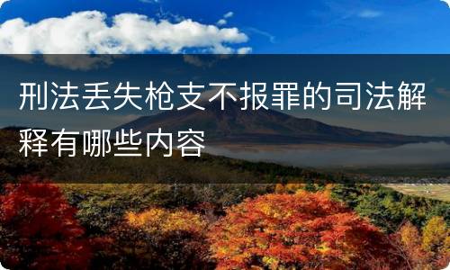 刑法丢失枪支不报罪的司法解释有哪些内容