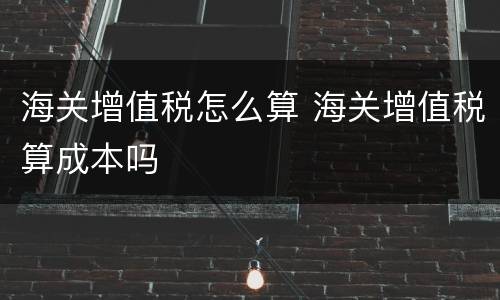 海关增值税怎么算 海关增值税算成本吗