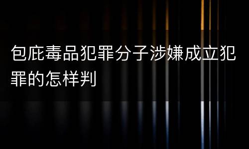 包庇毒品犯罪分子涉嫌成立犯罪的怎样判