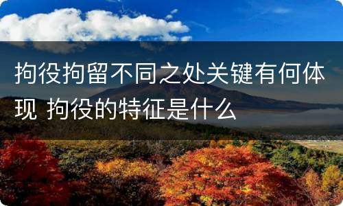 拘役拘留不同之处关键有何体现 拘役的特征是什么