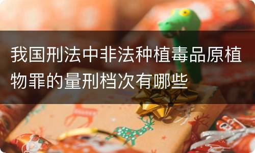 我国刑法中非法种植毒品原植物罪的量刑档次有哪些