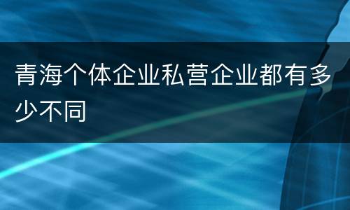 青海个体企业私营企业都有多少不同