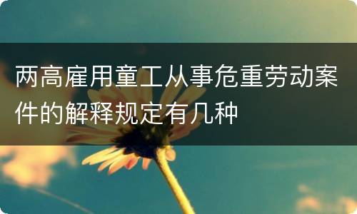 两高雇用童工从事危重劳动案件的解释规定有几种