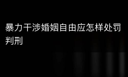 暴力干涉婚姻自由应怎样处罚判刑