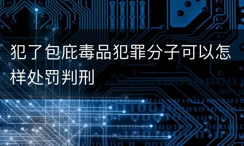 犯了包庇毒品犯罪分子可以怎样处罚判刑