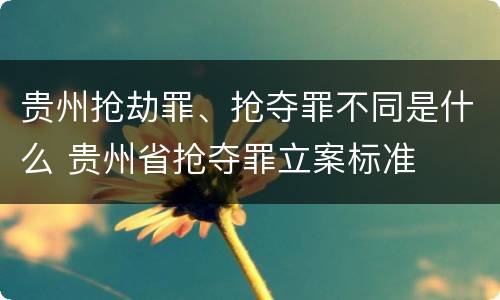 贵州抢劫罪、抢夺罪不同是什么 贵州省抢夺罪立案标准