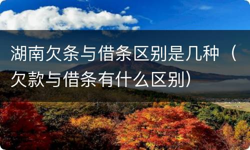 湖南欠条与借条区别是几种（欠款与借条有什么区别）