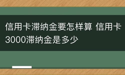 信用卡滞纳金要怎样算 信用卡3000滞纳金是多少