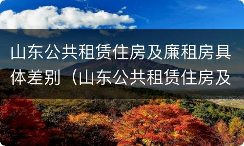 山东公共租赁住房及廉租房具体差别（山东公共租赁住房及廉租房具体差别是什么）