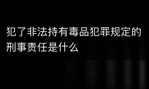 犯了非法持有毒品犯罪规定的刑事责任是什么