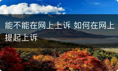 能不能在网上上诉 如何在网上提起上诉