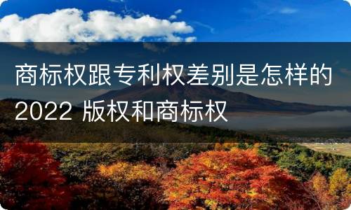 商标权跟专利权差别是怎样的2022 版权和商标权