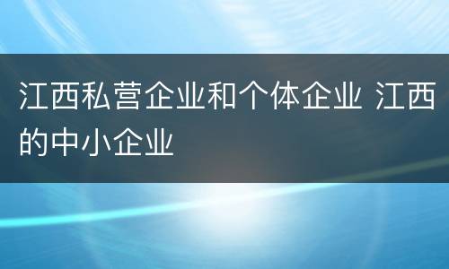 江西私营企业和个体企业 江西的中小企业
