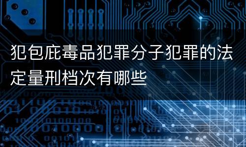 犯包庇毒品犯罪分子犯罪的法定量刑档次有哪些