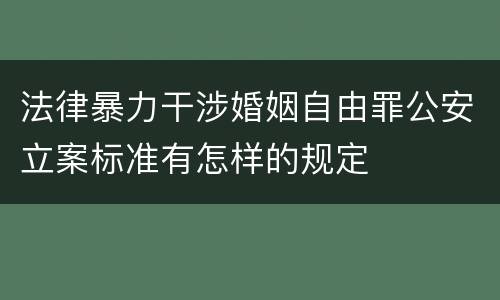 法律暴力干涉婚姻自由罪公安立案标准有怎样的规定