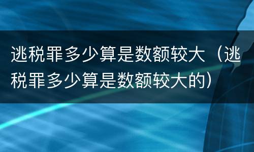 逃税罪多少算是数额较大(逃税罪多少算是数额较大的)