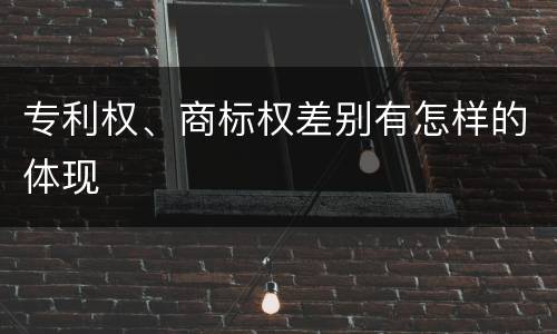 专利权、商标权差别有怎样的体现