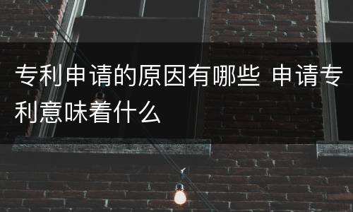 专利申请的原因有哪些 申请专利意味着什么