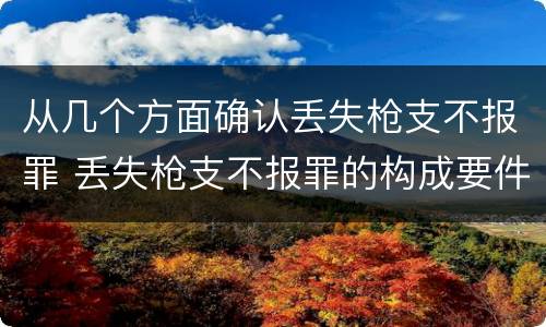 从几个方面确认丢失枪支不报罪 丢失枪支不报罪的构成要件