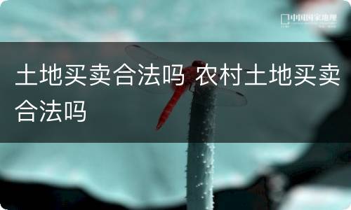 土地买卖合法吗 农村土地买卖合法吗