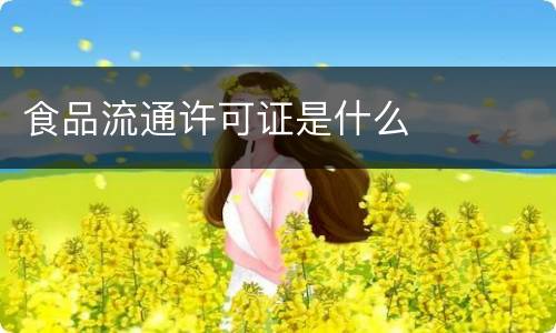 食品流通许可证是什么