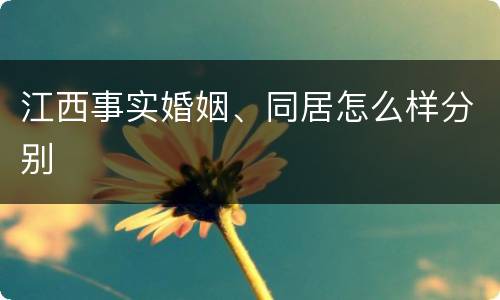 江西事实婚姻、同居怎么样分别