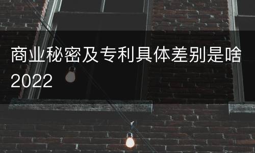 商业秘密及专利具体差别是啥2022