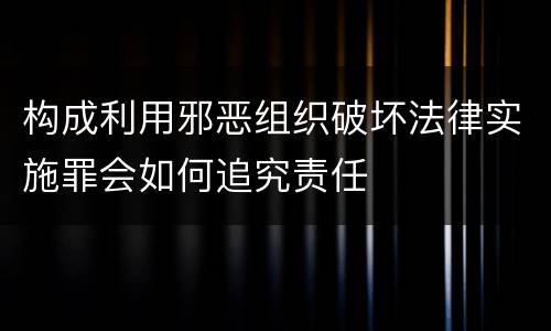 构成利用邪恶组织破坏法律实施罪会如何追究责任