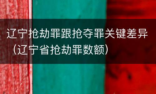 辽宁抢劫罪跟抢夺罪关键差异（辽宁省抢劫罪数额）