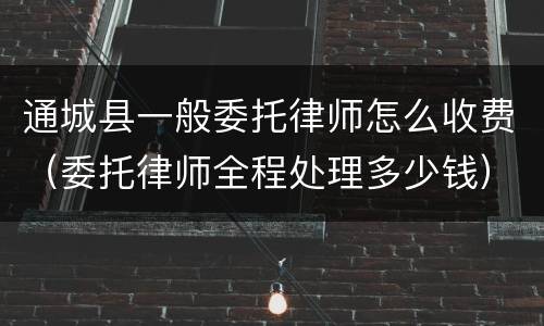 通城县一般委托律师怎么收费（委托律师全程处理多少钱）