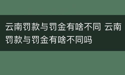 云南罚款与罚金有啥不同 云南罚款与罚金有啥不同吗
