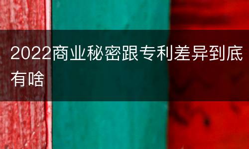 2022商业秘密跟专利差异到底有啥