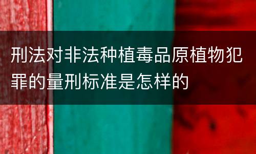 刑法对非法种植毒品原植物犯罪的量刑标准是怎样的