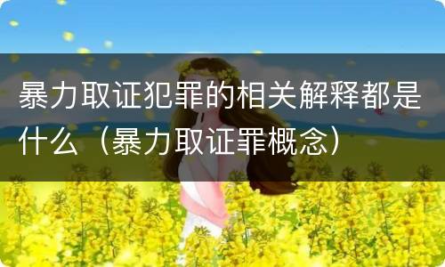 暴力取证犯罪的相关解释都是什么（暴力取证罪概念）