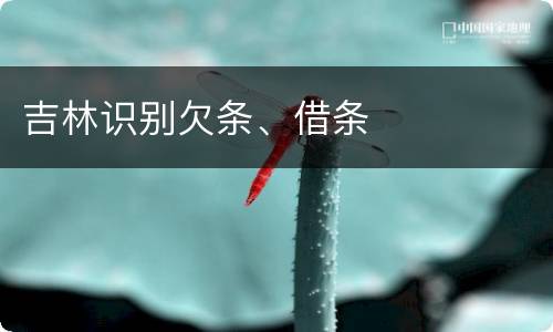 吉林识别欠条、借条