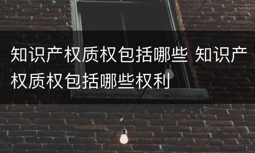 知识产权质权包括哪些 知识产权质权包括哪些权利