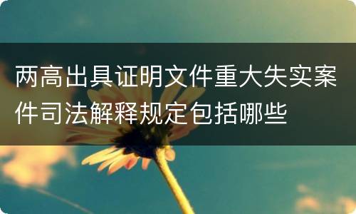 两高出具证明文件重大失实案件司法解释规定包括哪些