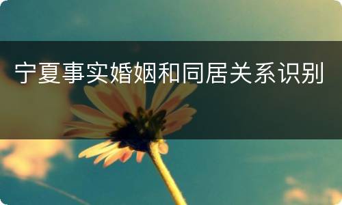 宁夏事实婚姻和同居关系识别