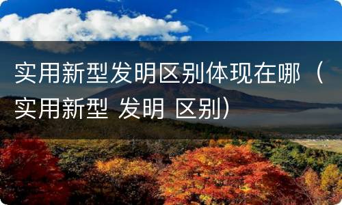 实用新型发明区别体现在哪（实用新型 发明 区别）