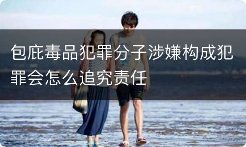 包庇毒品犯罪分子涉嫌构成犯罪会怎么追究责任