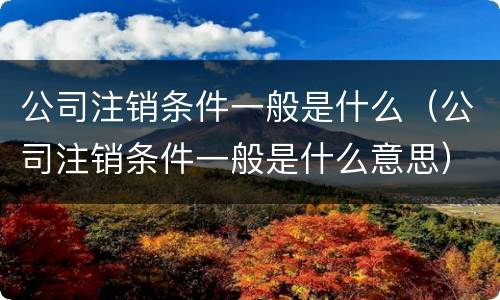 公司注销条件一般是什么（公司注销条件一般是什么意思）