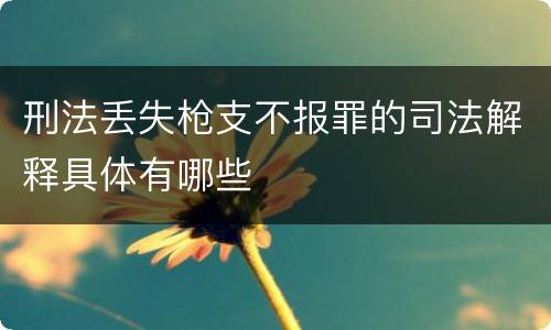刑法丢失枪支不报罪的司法解释具体有哪些