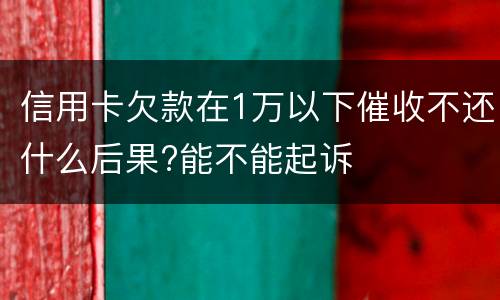 信用卡欠款在1万以下催收不还什么后果?能不能起诉