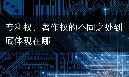 专利权、著作权的不同之处到底体现在哪