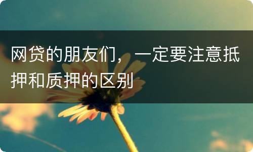 网贷的朋友们，一定要注意抵押和质押的区别