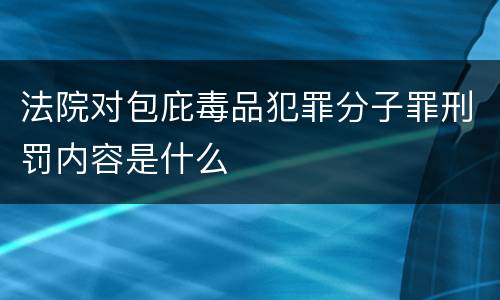 法院对包庇毒品犯罪分子罪刑罚内容是什么