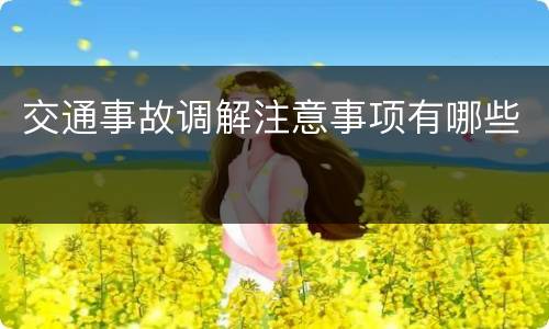 交通事故调解注意事项有哪些