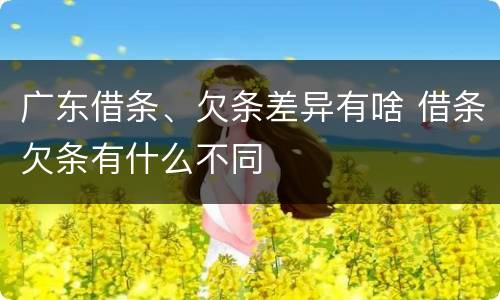 广东借条、欠条差异有啥 借条欠条有什么不同