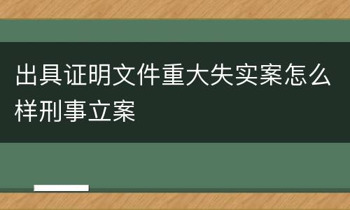 出具证明文件重大失实案怎么样刑事立案