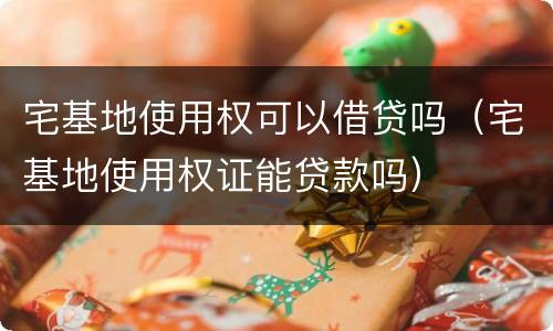 宅基地使用权可以借贷吗（宅基地使用权证能贷款吗）